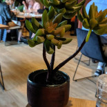 De Klaarbeek Boisson