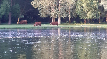 Bergsche Plas Exploitatie Bv Bergschenhoek