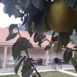 't Vroendel Borrel Bites Boisson