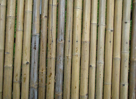 New Dragon Garden Aziatisch Bebida