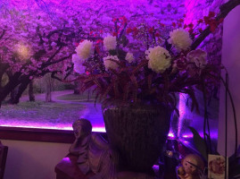 New Dragon Garden Aziatisch Bebida