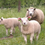 Castle Tongelaar Exterior