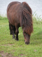 Club Zand Extérieur