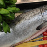 't Edelhert, Boisson