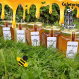 Cafetaria Visser Dentro