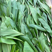 Hof Poppendamme drink