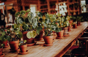 Hof Poppendamme drink