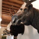 Castle Doorwerth Boisson