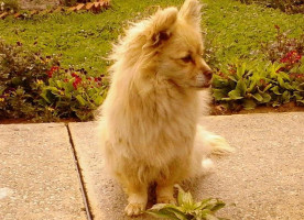 Kasteel Doenrade Extérieur