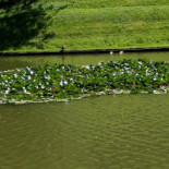 Limbricht Castle Extérieur