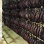 Paviljoen Pool À l'intérieur