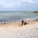 Brixham Lunchroom Exterior