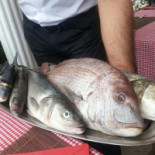 Brixham Lunchroom Boisson