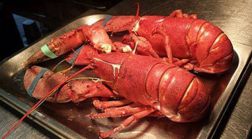 De Baai Van Lemmer food
