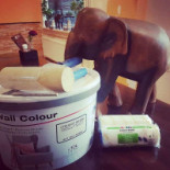 Julian's Eethuis Boisson