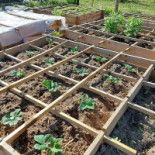 Julian's Eethuis Extérieur