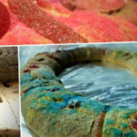 Hamstery Pepperoni Nourriture