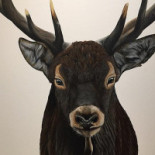 Oesterput 14 Boisson