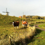 Bij Hammingh Extérieur