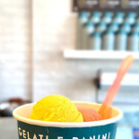 Gelati E Panini Boisson