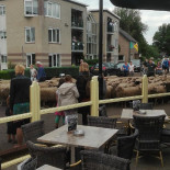 De Loenermark Extérieur