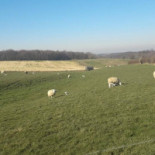 Maxima Snack Extérieur