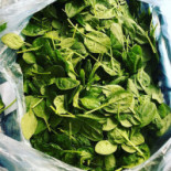 Bistro Croquant Maastricht Geverifieerd Boisson