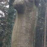 Residence De Eese Boisson