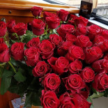 Paviljoen Overdiep Appingedam Minuman