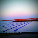 Gavi Wijnkopers Boisson