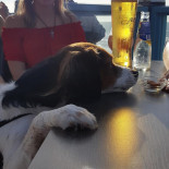 De Strandtent Boisson