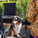 Nonas Schepijs Exterior