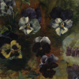 Engelanderhof Bebida