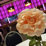 Café De Welp Boisson