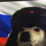 Snelbuffet Ophuis Boisson