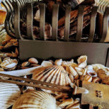 Captain Jack Boisson