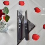 Paviljoen Lutterzand Boisson