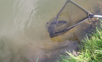 Herberg 't Mun Bv drink