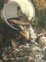 Herberg 't Mun Bv outside