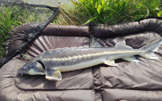 Herberg 't Mun Bv outside