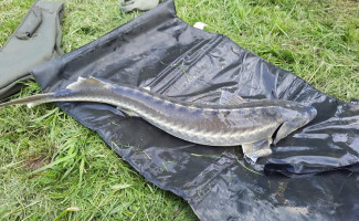 Herberg 't Mun Bv food