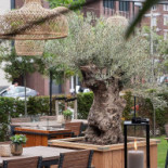 Joann À l'intérieur