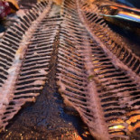 Schierzicht Restaurette Bebida