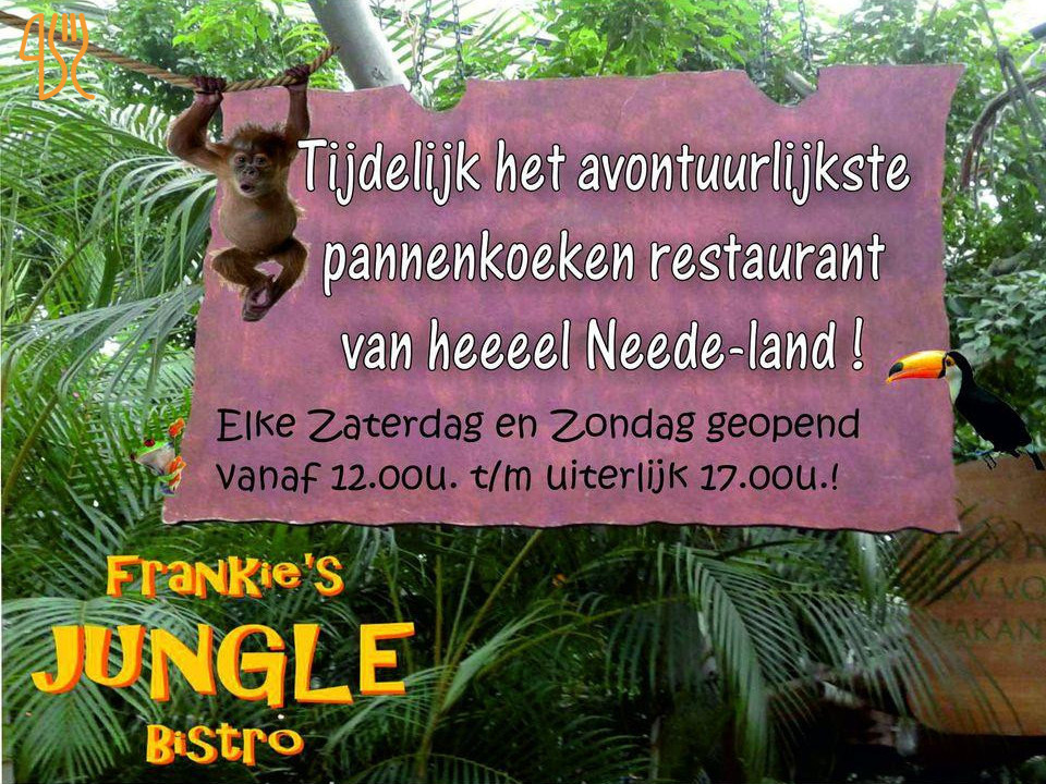 Frankie's Jungle Bistro Carte
