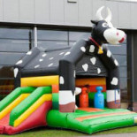 De Twentse Nar Boisson