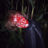 De Twentse Nar Boisson