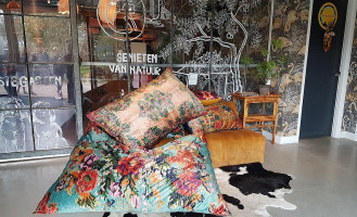 De Brielsche Aap Esterno