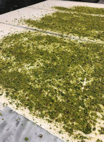 Gino's Grillhuis Extérieur