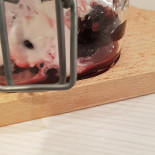 Kees Ijssalon Bebida