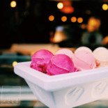 Kees Ijssalon Bebida